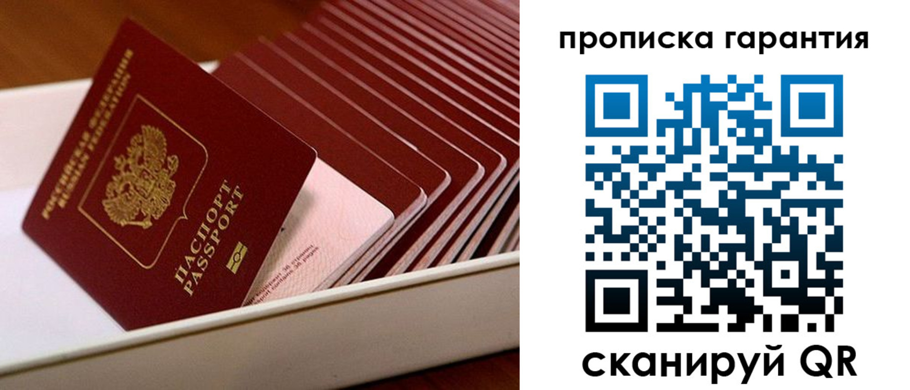 прописка поиск в Котово